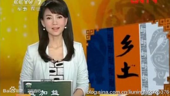 中央致富农业套餐有哪些_中央7套农业致富经_中央农业致富经视频