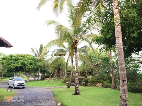 刘恺威杨幂将办家庭式婚礼 伴娘是唐嫣伴郎神