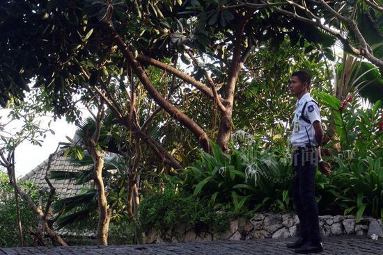 杨幂婚礼现场曝光 场地安保升级有直升机坪(图