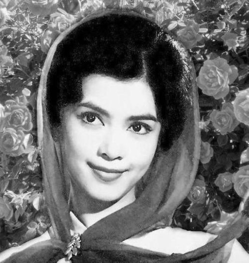 邵逸夫旗下夏梦周慧敏黎姿 盘点邵氏女星美艳