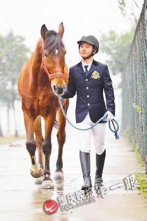 探访重庆驯马人:硕士学历钉蹄师 全世界仅144