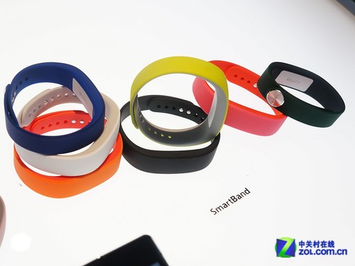 鳬 SmartBandֳ  