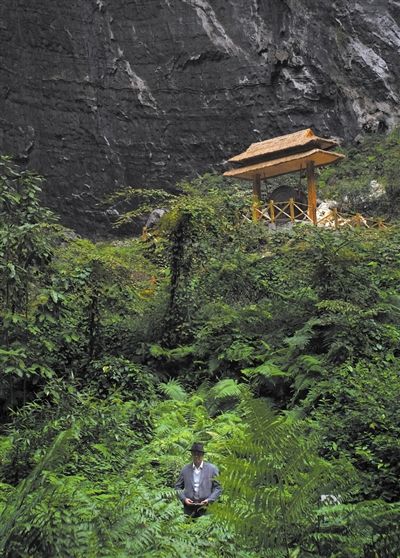 一名男子在娑罗树丛中吸“负氧离子”。在巴马疗养的人相信,和恐龙同时期的娑罗树是巴马负氧离子最高的地方。