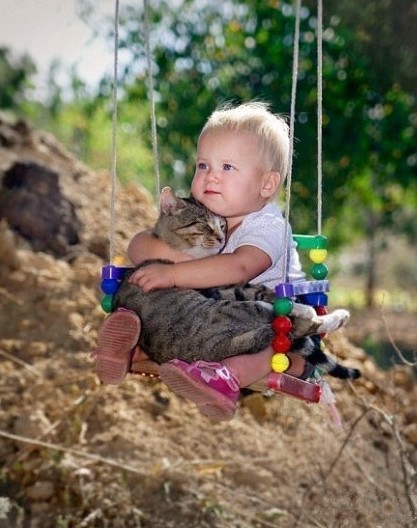 超级萌物大脸喵星人 曝被主人恶搞无辜激萌照