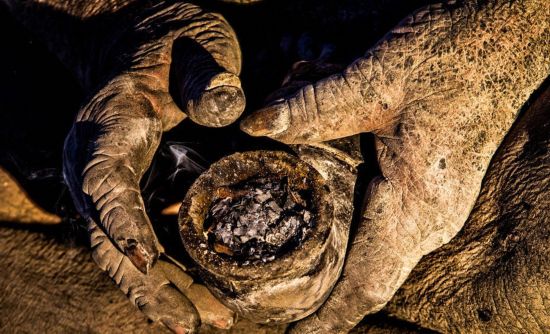 伊朗8旬老翁60年不洗澡创世界纪录