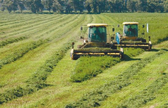 现代农业催生超级市民