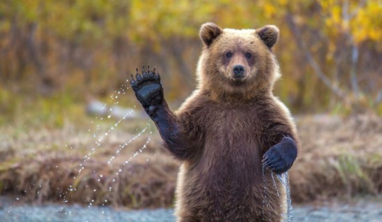 ��С��վ������Ӱʦ�����֡�ʾ��