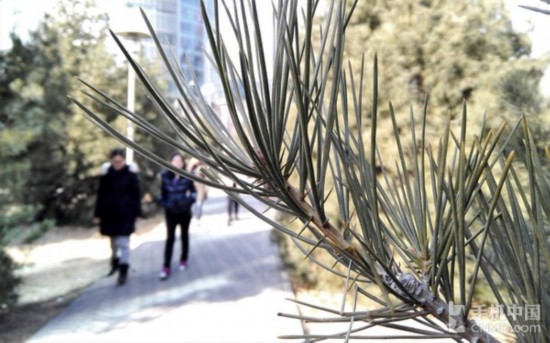 6.1�^�o�̮���V9R1�|�� �ج�Mate2���� 