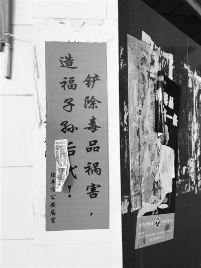 洦ɼ ¾  