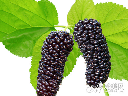 茄子蓝莓8种紫蔬果富含花青素 滋补养颜+抗衰老