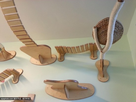 德小伙为女友猫咪设计玩具 终打造出猫咪游乐