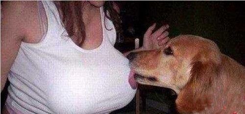 盘点动物世界的流氓就爱调戏美女