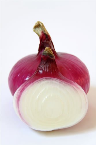 Vui͡GvOӦZ Yv9