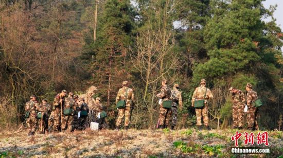 组图:贵州福泉发生森林火灾 5救火人员遇难