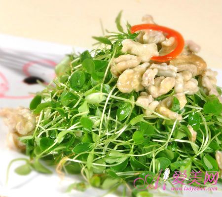  �������㲡���� 11���߲˲���������� 