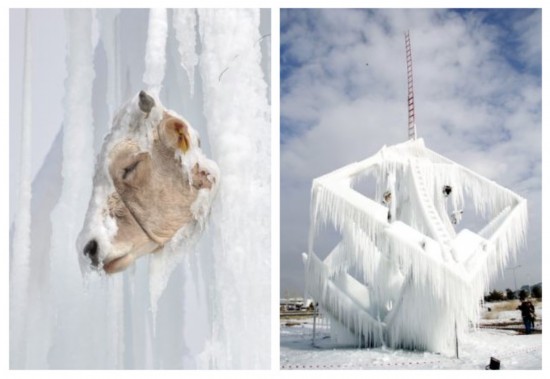 教授制恐怖牛头冰雕反对校园暴力