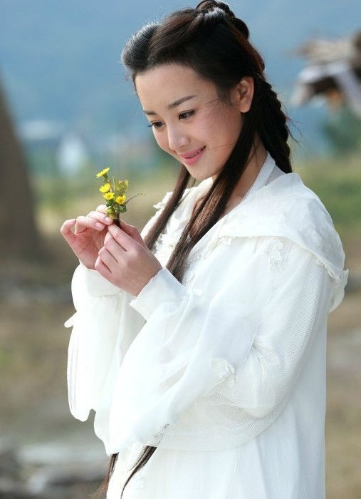 天龙八部众美女 爹