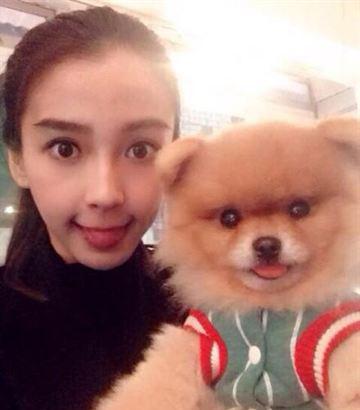 Angelababy卖萌学小狗吐舌头 网友:女神又调皮