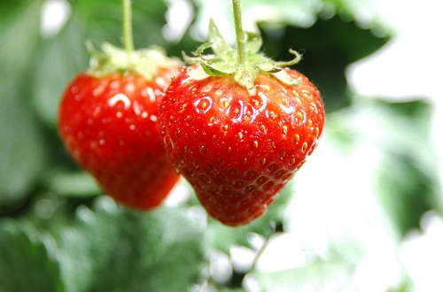 找男友:女人找男朋友的五个独特眼光