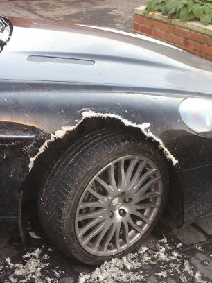 英淘气边境牧羊犬咬坏主人80万元阿斯顿马丁