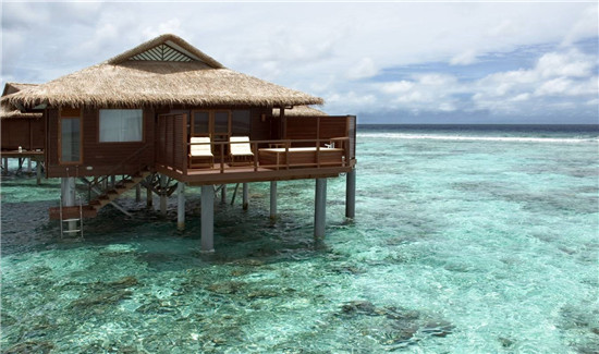 马尔代夫蓝色美人蕉 属于自己的美好空间