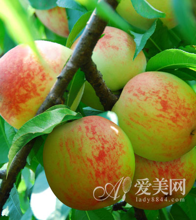 山楂不宜早上吃 吃水果时间要正确- Micro Rea