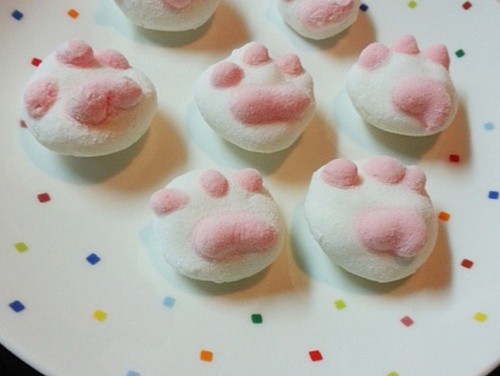 萌到没节操 情人节手工制作猫爪棉花糖