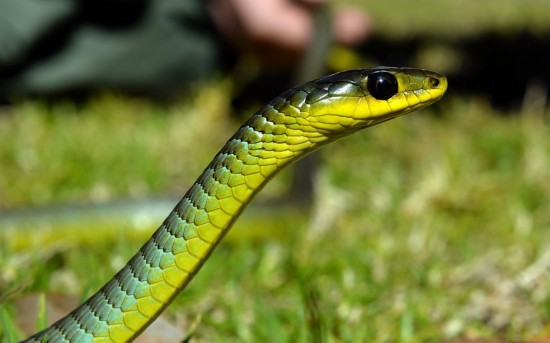 盘点旅游界的世界之最 最贵旅行花费上亿元