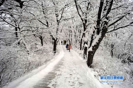 崆峒雪景美如画