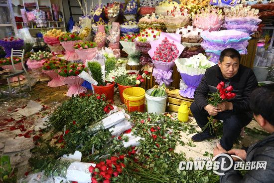 昆明降温西安鲜花价格猛涨 99朵红玫瑰或破千