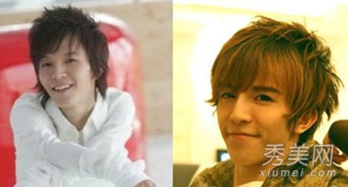 王菲李思思苏有朋 17位塌鼻子明星谁整形了?