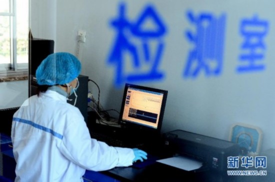 （社会）（4）目击H7N9禽流感实验室检测过程