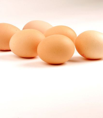 3461973687835287659.jpg