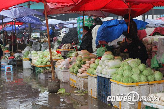 节后西安菜价比较稳定 批发市场菜商积货卖不