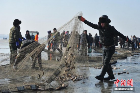 辽宁珍珠湖开捕辽中鲫鱼