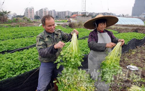 福州新闻网