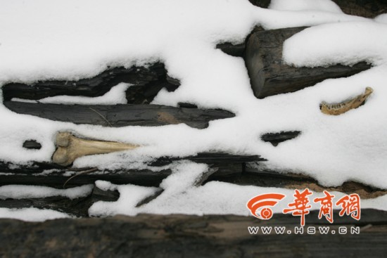 秦公一号大墓人骨露天迎风雪