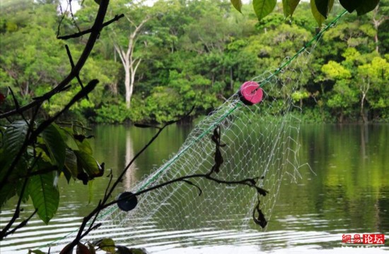 图揭亚马逊纪录片的劲爆内容(组图)