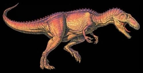 ~s(Giganotosaurus)47^(X14)AF8AͬbZ9500U~eAɺަpAëDvHӳ̤jשʰʪXXo@YksҦCڻ{sF55^(X17)C
