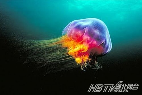 ˮĸ֪־ʨˮĸݼأʨˮĸΪ149.7ֵĳȴﵽ36.6ס
