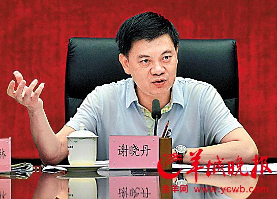 广州副市长:打飞机等未确定属卖淫犯罪