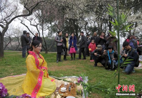 武汉市民着美女展茶艺引组图围观(美女)【5】古装秀爱可图片
