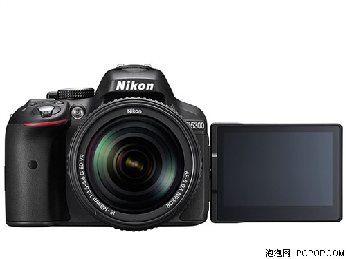 ῵(Nikon)D5300 (2416 3.2Ӣ緭תҺ 5/) 