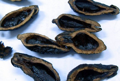 网友评土特产黑名单 甜豆腐脑槟榔豆汁上榜