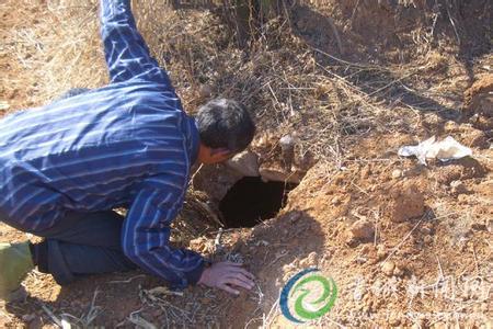 少见灵异的怪事：史上盗墓者所遭受的八大报应