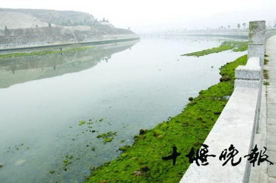 两名初中生失恋后相约自尽 留遗书称为爱死值