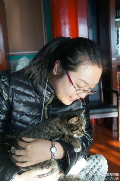 北京故宫收留百余流浪猫 管吃有名有记号(图)