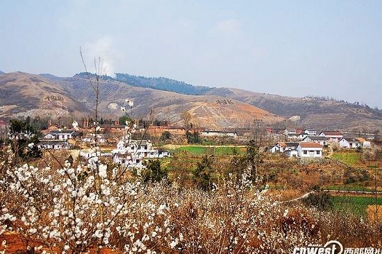 洛阳牡丹西安桃花 陕西最美的十大赏花地推荐