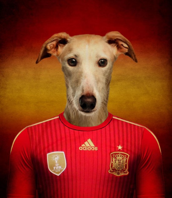狗狗穿球衣 比利时摄影师拍 了不起的世界杯狗
