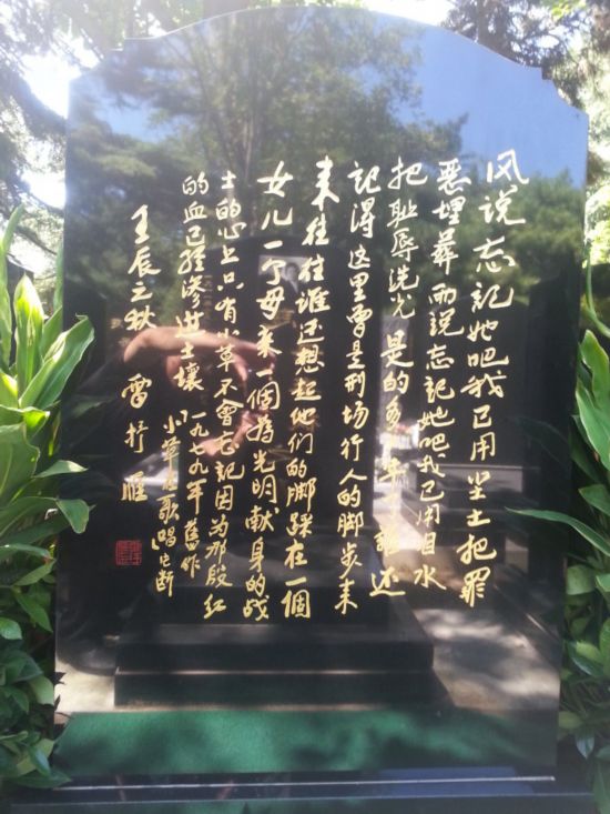 ֤Hp維ͥ